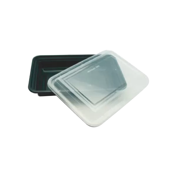 Food container with Lids